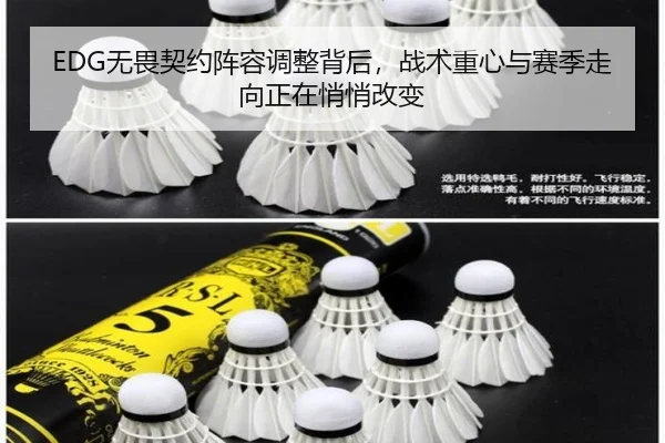 EDG无畏契约阵容调整背后，战术重心与赛季走向正在悄悄改变 | dianjingniu